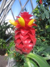 Denver Botanical Gardens