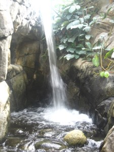 Denver Botanical Gardens